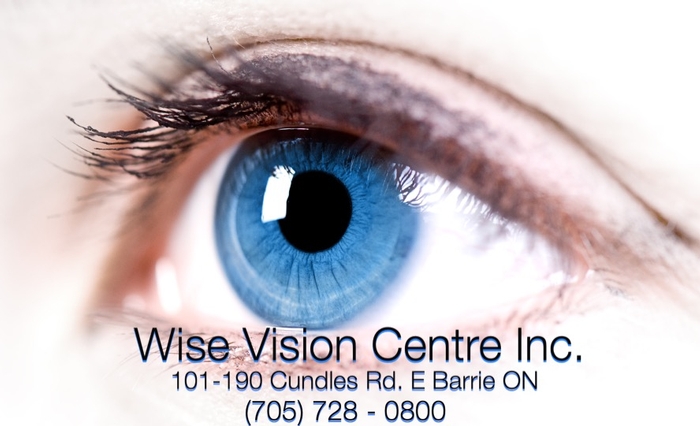 Wise Vision Centre Inc.