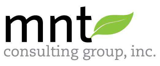 MNT Consulting