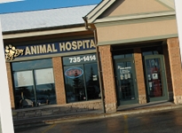 Big Bay Animal Hospital