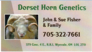 Dorset Horn Genetics