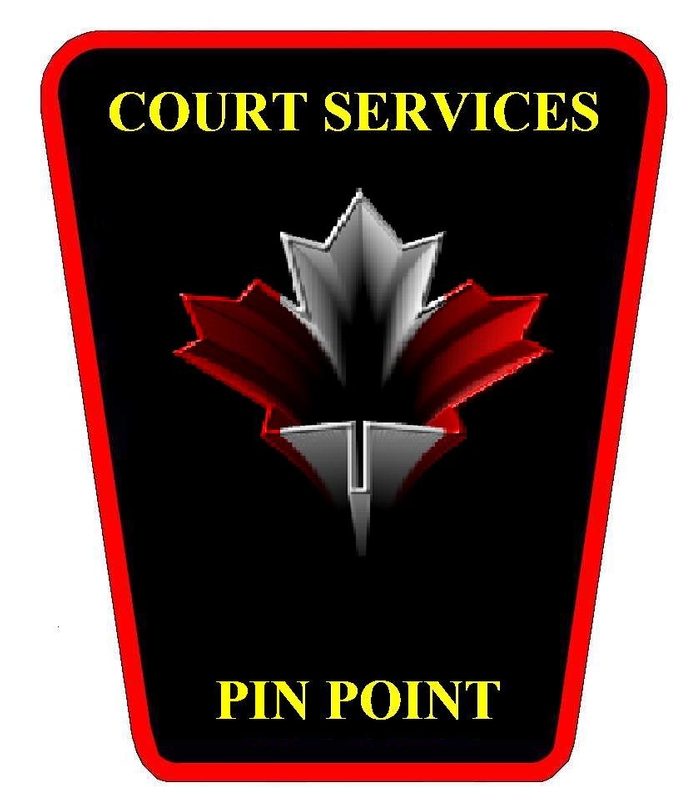 Pin Point Court Services