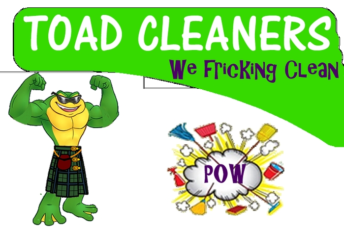 9439102 Canada Inc OA Toad Cleaners