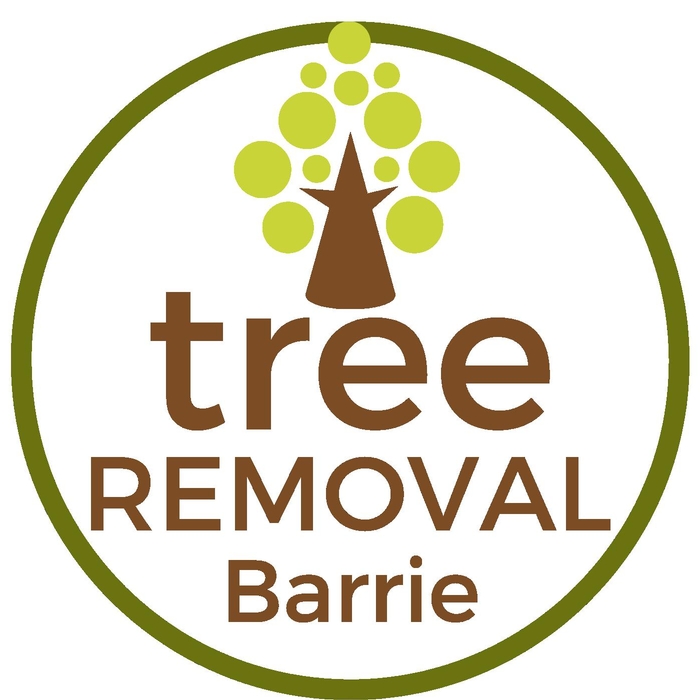 Tree Removal Barrie